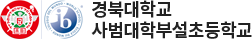 경북대학교사범대학부설초등학교 로고